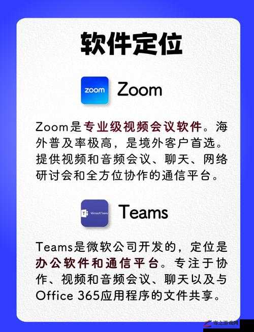 Zoom与人马性 Zoom 比较：探索两者差异与特点