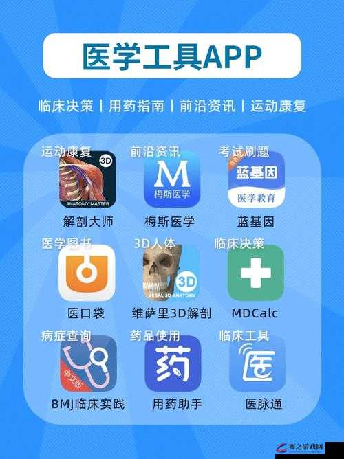 WINDOWSCHANNEL 国产 APP 为用户带来便捷高效体验的优质应用