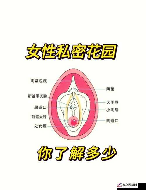 欧美性爱：探索未知的性奥秘