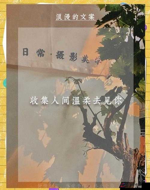 在御花园进入太子妃沈音等我回来：开启一段浪漫的宫廷故事