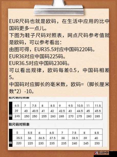 欧洲尺码 EU44N 时尚鞋款大揭秘：适穿人群与搭配技巧