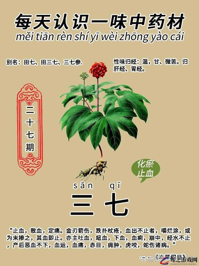 三七大但人文艺术免费：探索其中蕴含的独特魅力与价值