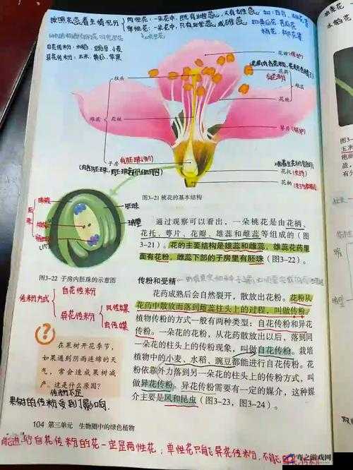 生物老师拿自己当做繁衍例子讲述生命延续的奥秘