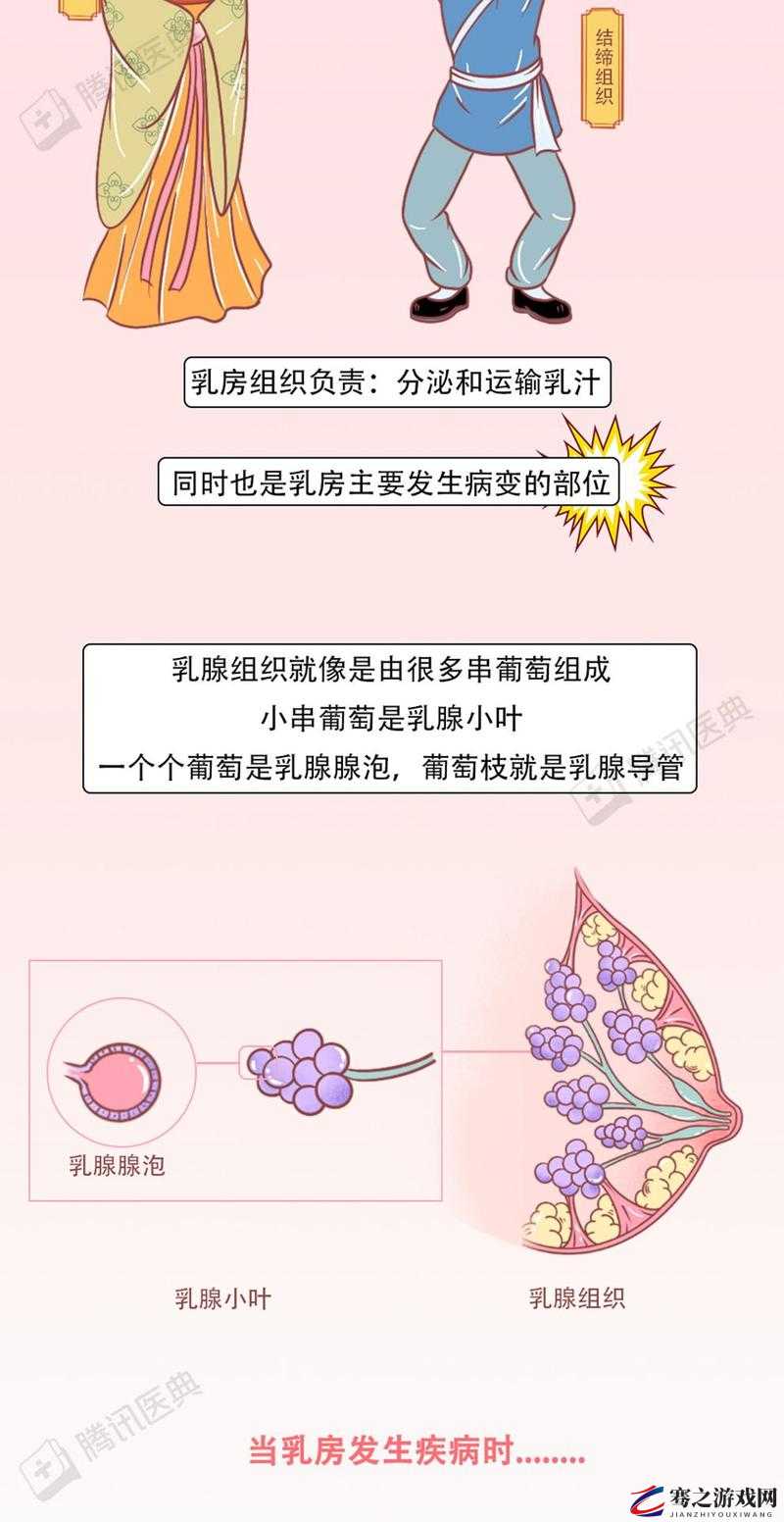 红肿疼痛小缝不能合拢：探究其背后的神秘原因与解决之道