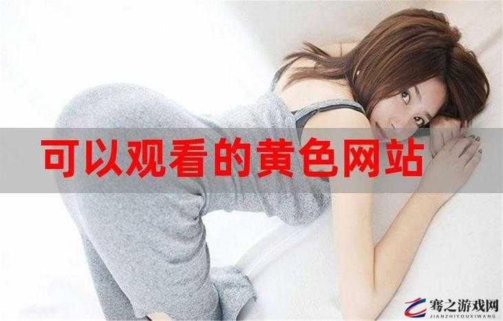 如何查找免费 B 站在线观看人数：实用技巧分享