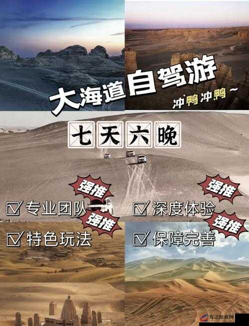 探索无人区码一码二码 w358cc 背后的神秘世界