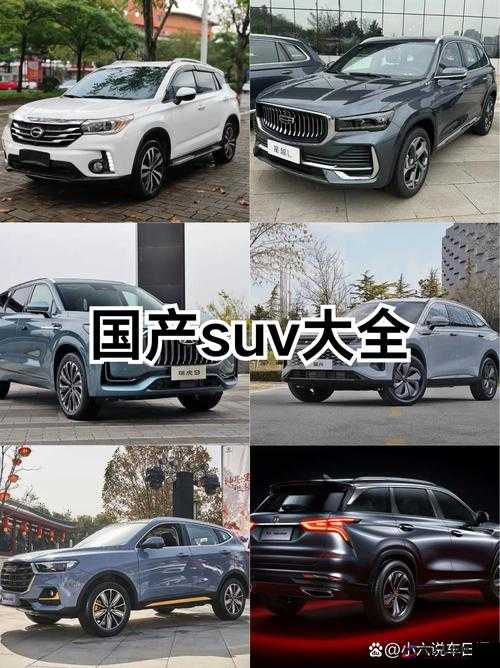 国产 SUV 精品一区二区四区三区：展现多样魅力与卓越性能