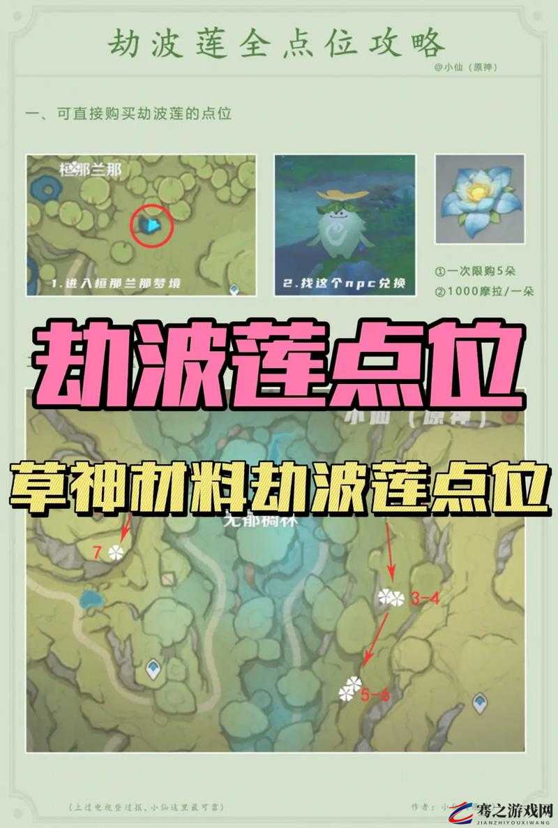 原神草萨满全面攻略，解锁高效战斗技巧与探索必得掉落宝藏