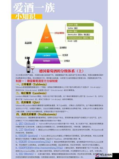 酒精产国品一二三产区：关于其特点及发展情况的深入探讨