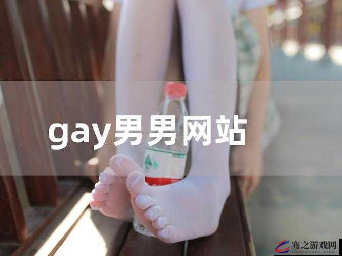 激情互动：男生操男生网站，探索男性之间的别样魅力