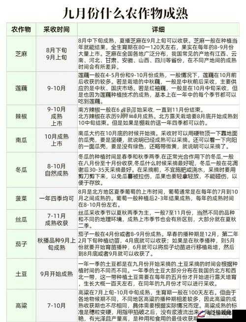 悠长假期农作物高效储备与规划全攻略，助你打造繁荣的田园帝国