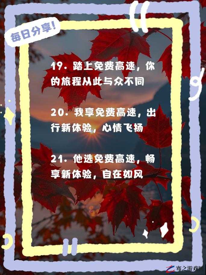 9·1 极速版下载：畅享高速便捷的全新体验之旅