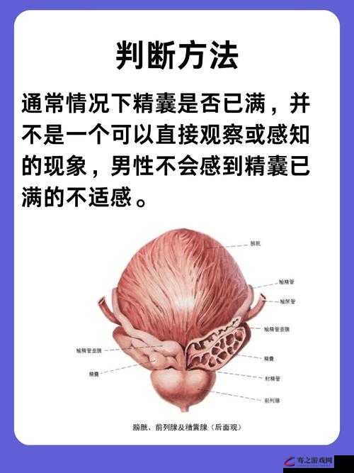 体内精汇编 6 ：深度剖析人体内部精妙机制的珍贵文献