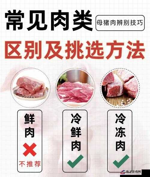 活下去游戏中生肉获取方法全面解析，多种途径助你生存无忧