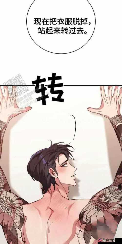 漫漫漫画免费漫画入口页面弹窗：带你走进精彩漫画世界