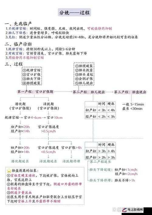 一线产区与二线产区的具体界定及差异分析