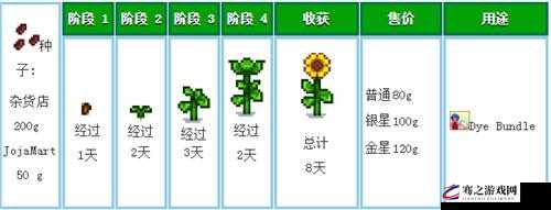 悠长假期全面攻略，高效获取向日葵种子的实用秘籍与技巧