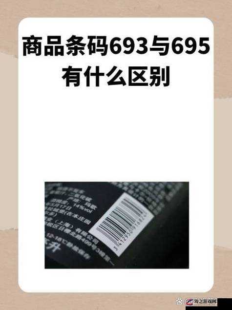 51无人区码一码二码三码的区别详解：如何选择最适合你的编码方案？