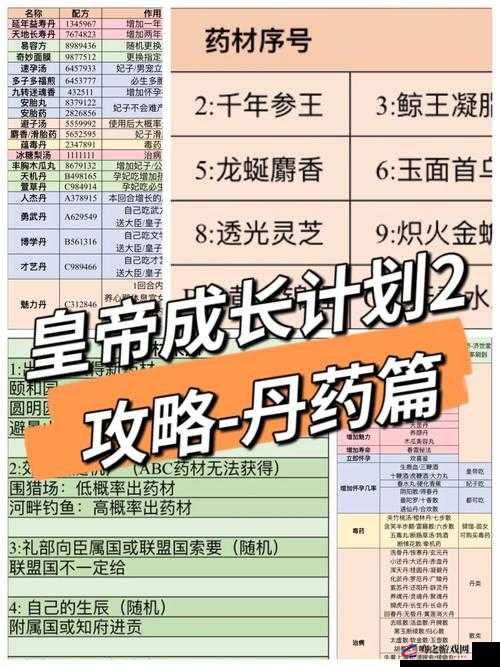 掌门太忙游戏中丹药使用全攻略，详解丹药种类与最佳使用方法